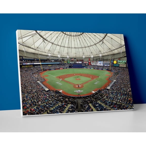 Tampa Bay Rays Stadium Poster or Wrapped Canvas