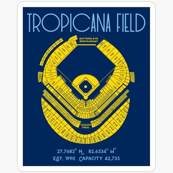 Tampa Bay Rays Tropicana Field Stadium Poster Print Baseball Football Basketball Sport Player Vinyl Decal Sticker