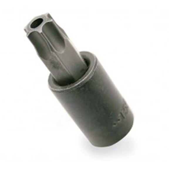 Tamper-Proof Torx Bit Socket T60 - Steel - 3/8 in. Drive - Set of 2 - High-Torque Design