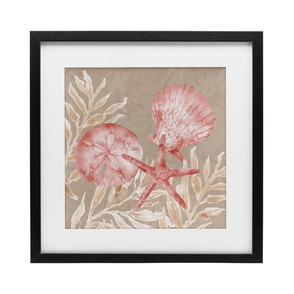 Stupell Industries Tampico Shells & Sand Dollar Black Framed Print Under Glass, design by Paul Brent, 13 x 13