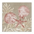 thumbnail image 1 of Stupell Industries Tampico Shells & Sand Dollar Canvas Wall Art, design by Paul Brent, 36 x 36, 1 of 7