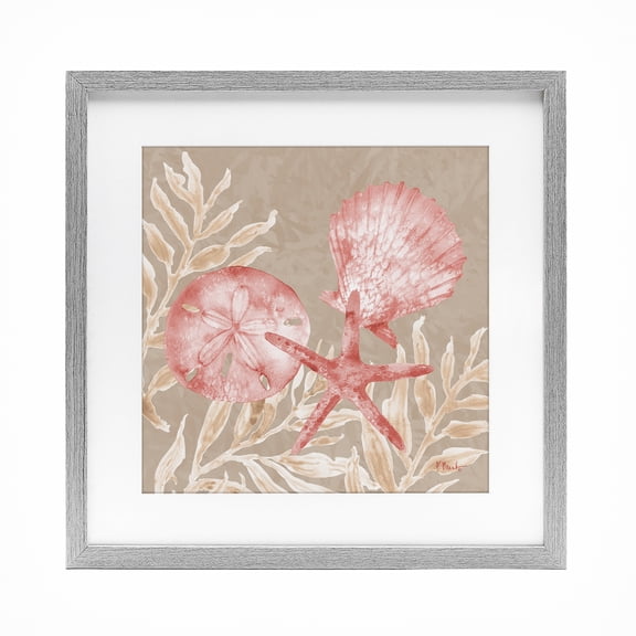 Stupell Industries Tampico Shells & Sand Dollar Gray Framed Print Under Glass, design by Paul Brent, 13 x 13