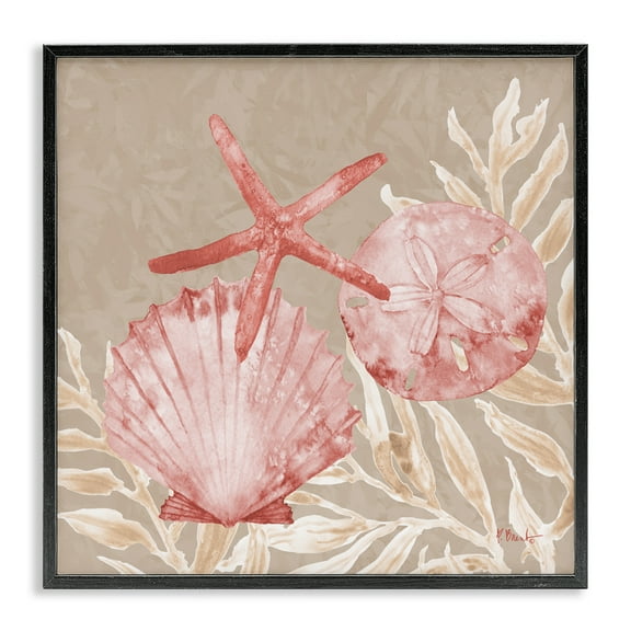 Stupell Industries Tampico Shells & Starfish Black Framed Giclee Art, design by Paul Brent, 12 x 12