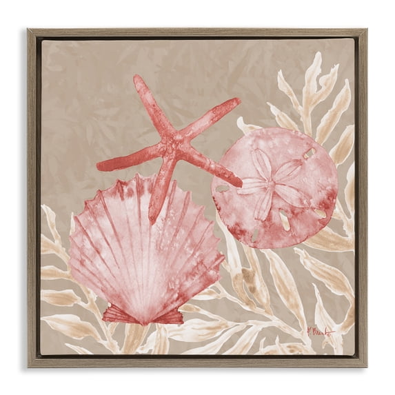Stupell Industries Tampico Shells & Starfish Brown Framed Floater Canvas Wall Art, design by Paul Brent, 18 x 18
