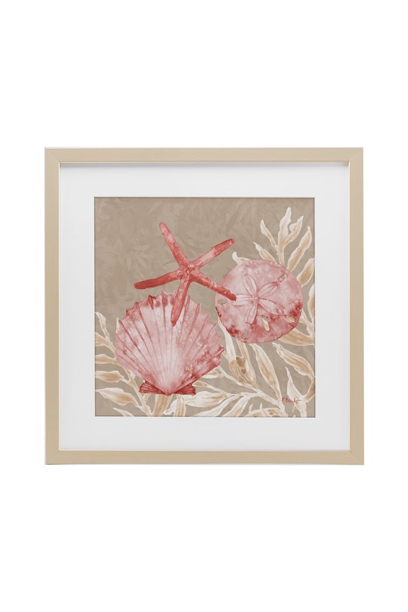 Industries Tampico Shells & Starfish Birch Framed Print Under Glass, design by Paul Brent, 16 x 16
