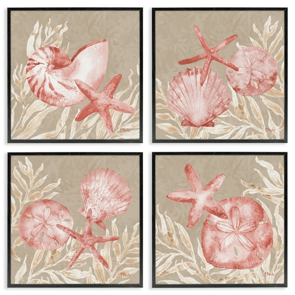 Stupell Industries Tampico Shells in Peach 4 Piece Black Framed Giclee Art Set, design by Paul Brent, 12 x 12