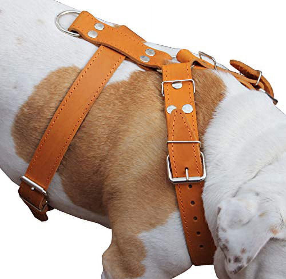 Tan Genuine Leather Dog Harness 30"-35" chest. Will fit for Large Breeds.