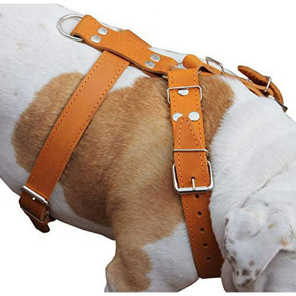 Tan Genuine Leather Dog Harness 30"-35" chest. Will fit for Large Breeds.