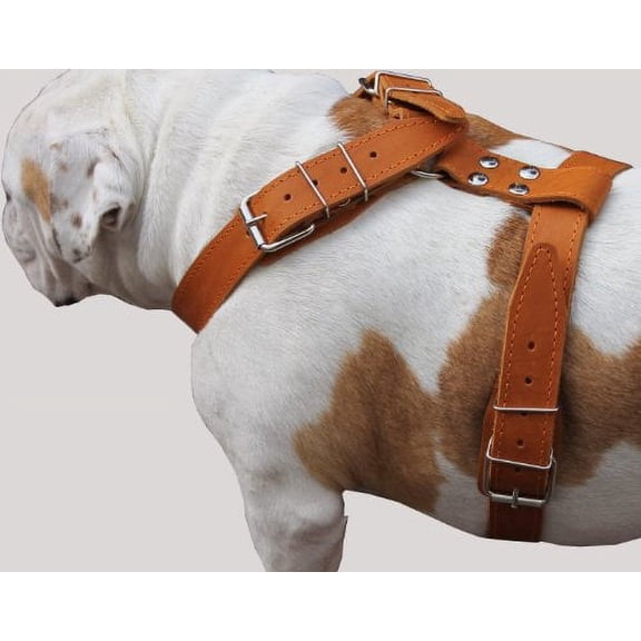 Tan Genuine Leather Dog Harness, Large. 35"-40" Chest, 1.5"Wide Straps Mastiff Great Dane
