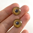 thumbnail image 1 of Tan Lion Glass Eyes, 1 of 7
