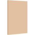 thumbnail image 1 of Tan Pastel Color Card Stock | 67Lb Cardstock | 11” x 17” Inches | 50 Sheets Per Pack, 1 of 5