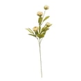 thumbnail image 1 of Ashland Tan Peony Stem, 1 of 5