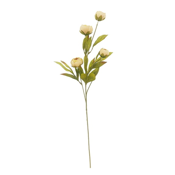 Ashland Tan Peony Stem