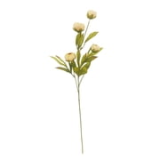 Ashland Tan Peony Stem
