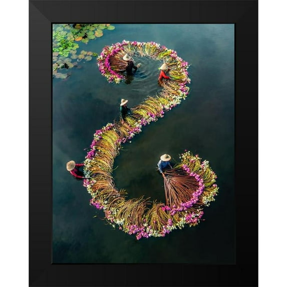 Tan Tuan, Nguyen 15x18 Black Modern Framed Museum Art Print Titled - Harvesting Water Lilies 15