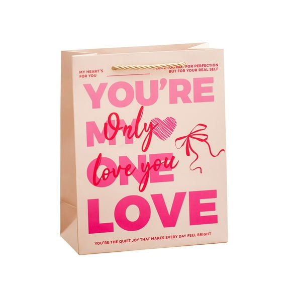 TanSiDing 1pcs Romantic Gift Bags for Valentine's Day, Anniversary & Couples, Reusable Heart Pattern Tote for Gifts Exchange, Durable and Decorative Present Packaging