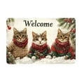 thumbnail image 1 of TanSiDing 2pcs Christmas Kitchen Mat Non-Slip Absorbent Waterproof Holiday Decor Floor Rug for Entryway Sink Laundry Room 40*60cm, 1 of 6
