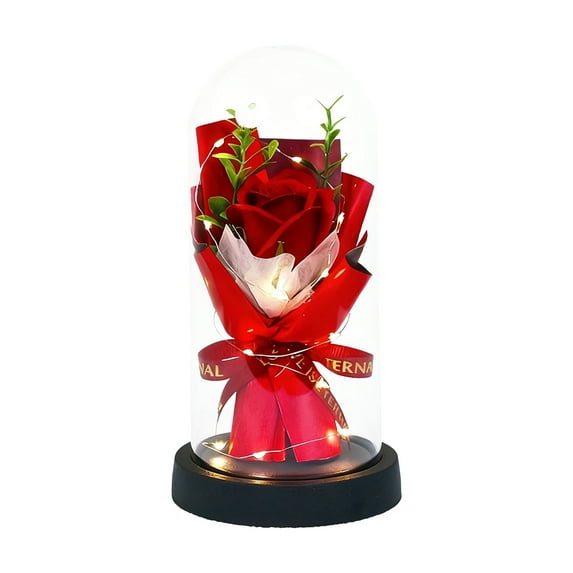TanSiDing 2pcs Everlasting Soap Rose Bouquet in Glass Dome with LED Lights, Romantic Home Decor Gift for Valentine's Day Anniversary Wedding
