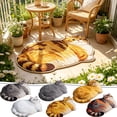 thumbnail image 1 of TanSiDing Cute Sleeping Cat Shaped Area Rug, Microfiber Absorbent Floor Mat for Bedroom Kitchen Living Room, Kitten Mat Floor Carpet Hallway Porch Entrance Doormat for Room, 1 of 7