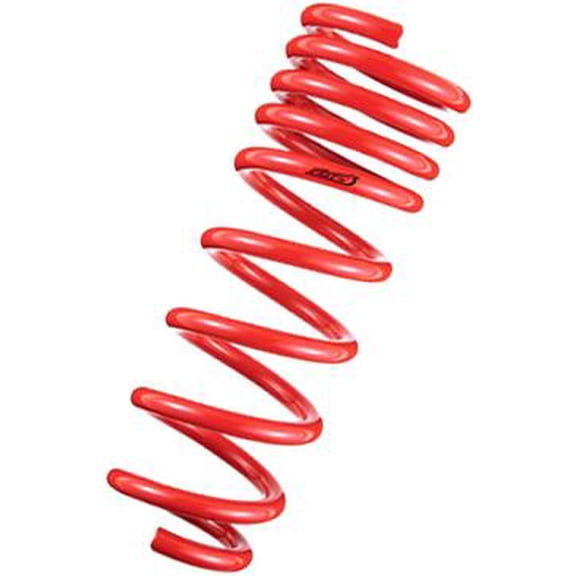 Tanabe TDF153 DF210 Springs for 10-10 Prius