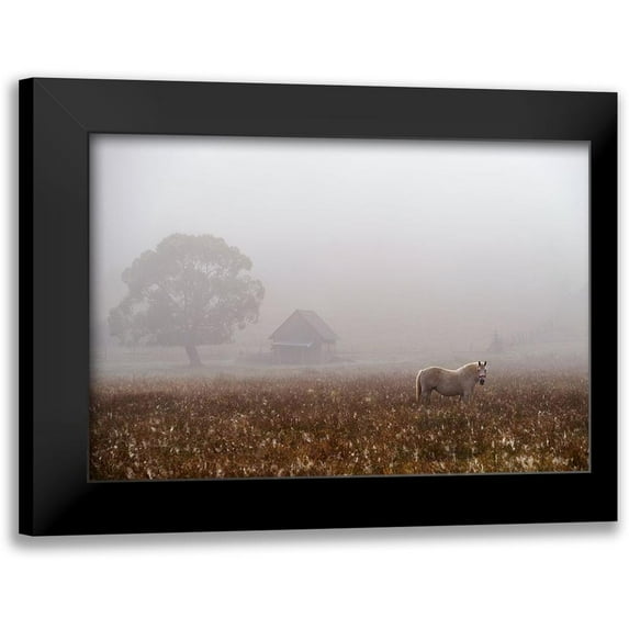 Tanase, Sorin 24x18 Black Modern Framed Museum Art Print Titled - Morning Fog