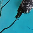 thumbnail image 1 of Tangents - Stateless - Music & Performance - Vinyl, 1 of 1