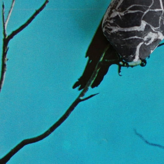 Tangents - Stateless - Music & Performance - Vinyl