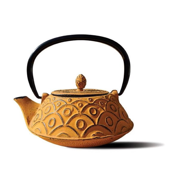 Tangerine Cast Iron Kyoto Teapot 26 Oz.