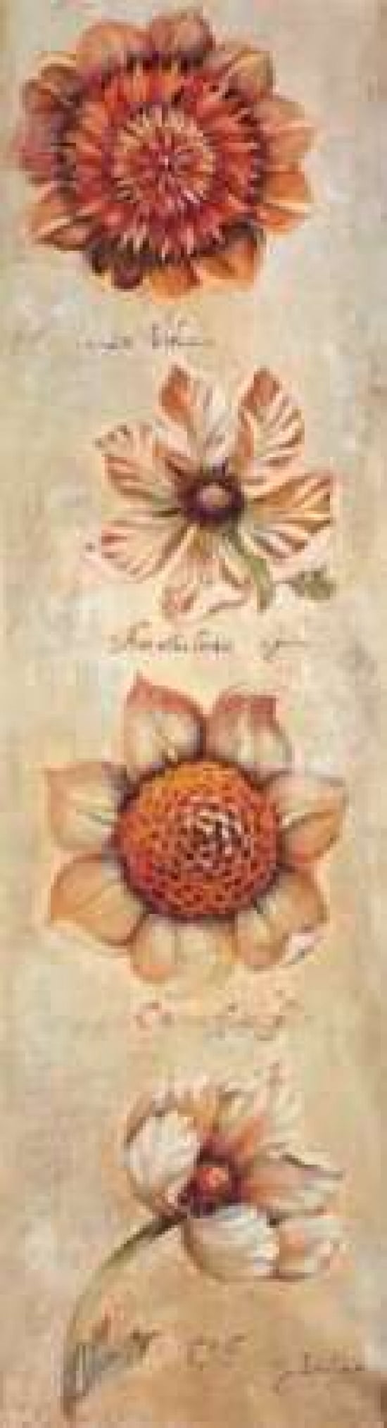 Tangerine Dream I Canvas Art - Liz Jardine (12 x 36)