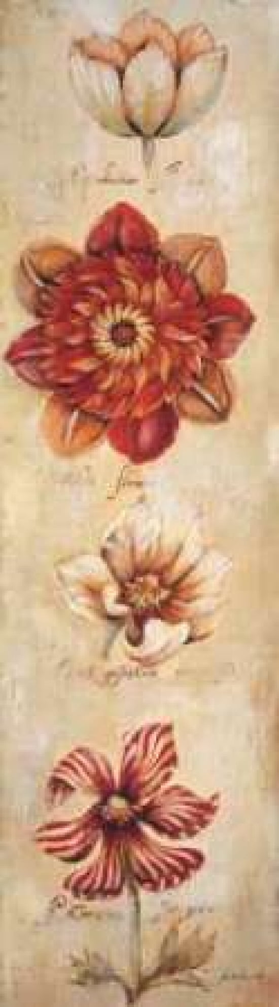 Tangerine Dream II Canvas Art - Liz Jardine (12 x 36)