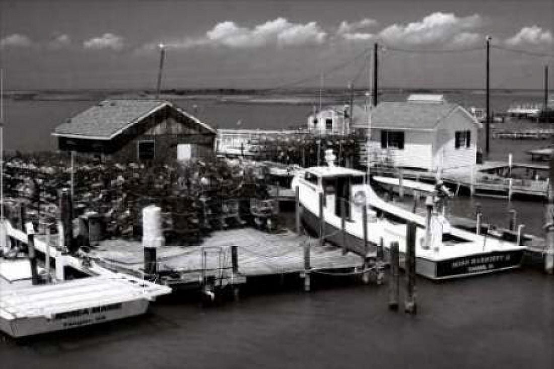 Tangier Island I Canvas Art - Alan Hausenflock (24 x 36)