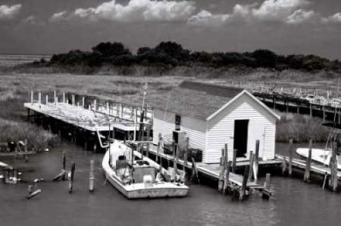 Tangier Island II Canvas Art - Alan Hausenflock (24 x 36)
