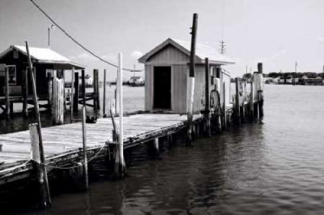Tangier Island IV Canvas Art - Alan Hausenflock (24 x 36)