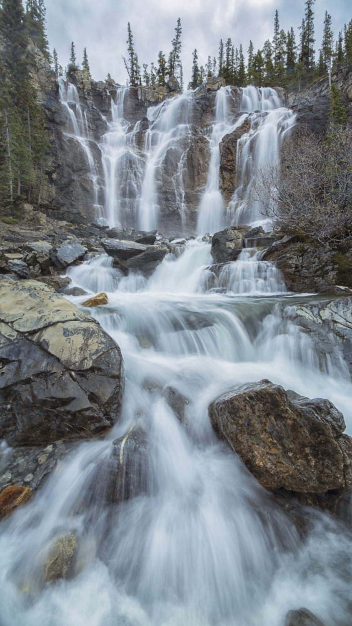 Tangle Creek waterfalls Jasper National Park Alberta Canada Canvas Art - Robert Postma Design Pics (11 x 20)