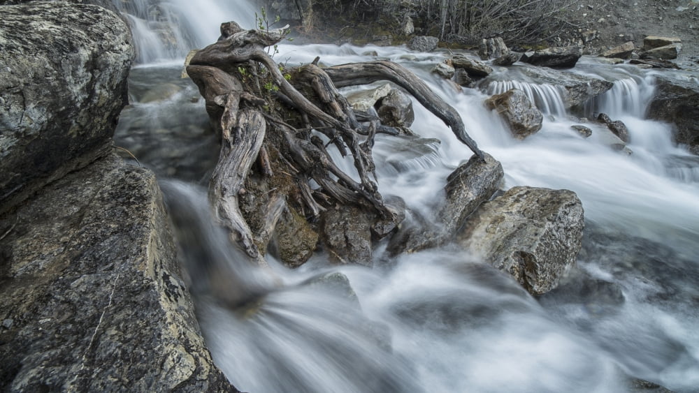 Tangle Creek waterfalls Jasper National Park Alberta Canada Canvas Art - Robert Postma Design Pics (20 x 11)