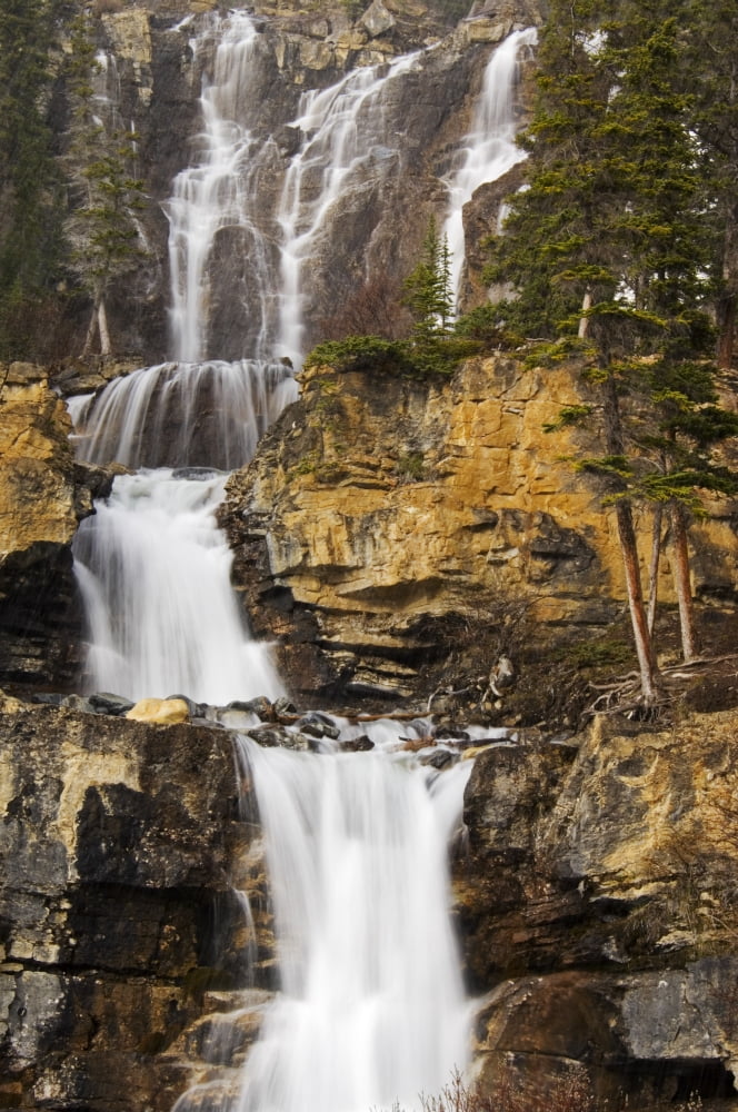 Tangle Falls Jasper National Park Alberta Canvas Art - Mike Grandmaison Design Pics (24 x 36)