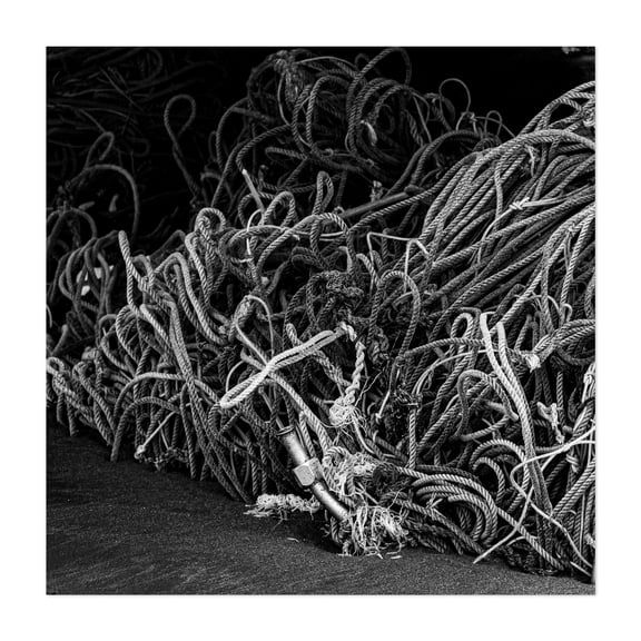 Tangled - Guanacaste Province Costa Rica Photography Industrial Abstract Black and White Nautical Rustic Pattern Moody Unframed Wall Art Print 40 x 40 inches