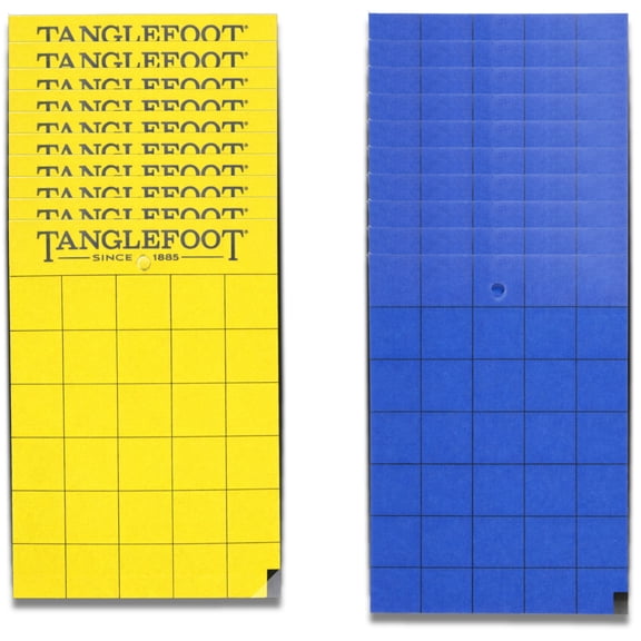 Tanglefoot Sticky Tangle-Trap Cards 20 Pack - 4"x6"  Double-Sided Yellow & Blue Hanging Traps for Garden, Plants & Greenhouse Use
