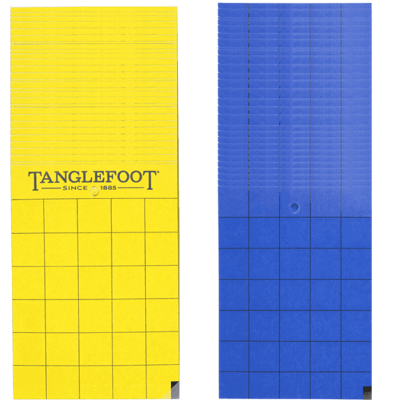 Tanglefoot Sticky Tangle-Trap Cards 200 Pack - 5"x7" Double-Sided Yellow & Blue Hanging Traps for Garden, Plants & Greenhouse Use