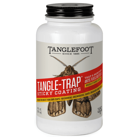 Tanglefoot Tangle-Trap Sticky Coating, 8oz Brush-On Bottle Long-Lasting Adhesive for DIY Insect Trap Making, Easy Application, Chemical-Free