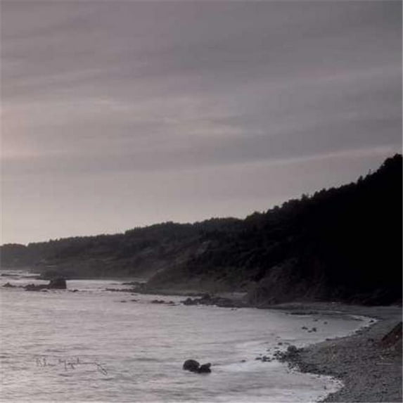 Tangletown Fine Art 'Shoreline Triptych Right' Photographic Print on Wrapped Canvas