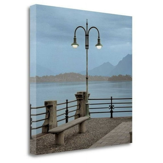 Tangletown Art, 25 x 25 "Lake Vista - 5 " by Alan Blaustein, Gallery Wrap Canvas