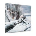 thumbnail image 1 of Tangletown Art, 27 x 21 "Serenity " by Kevin Daniel, Gallery Wrap Canvas Art pri, 1 of 2