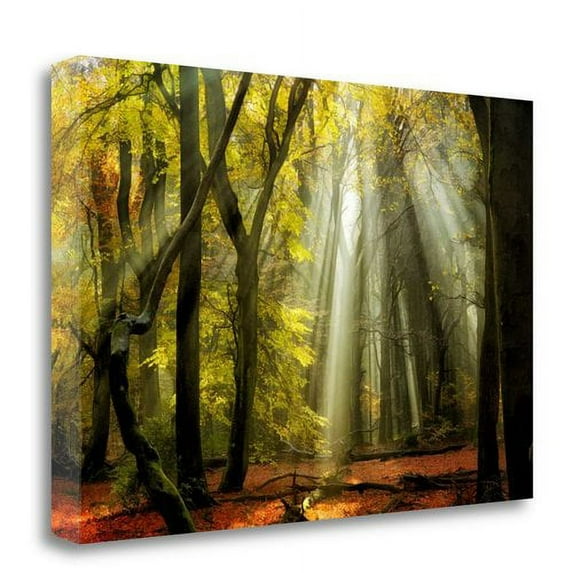 Tangletown Art, 32 x 21 "Yellow Leaves Rays " by Lars Van de Goor, Gallery Wrap