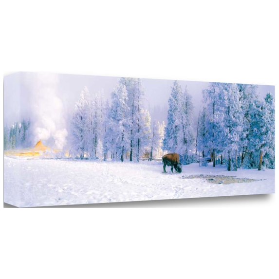 Tangletown Art, 34 x 12 "Buffalo Blues " by Gary Crandall, Gallery Wrap Canvas A