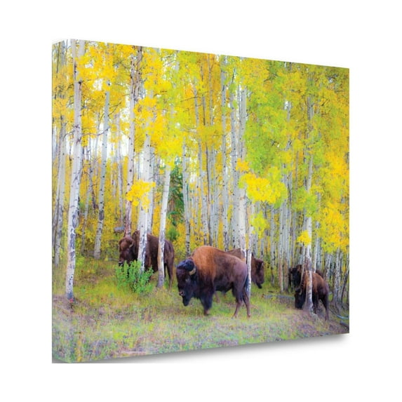 Tangletown Art, 35 x 25 "Autumn Buffs " by Gary Crandall, Gallery Wrap Canvas Ar