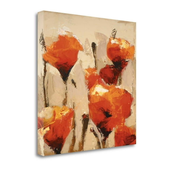 Tangletown Art, 35 x 35 "In Sync " by Peter Colbert , Gallery Wrap Canvas Art pr