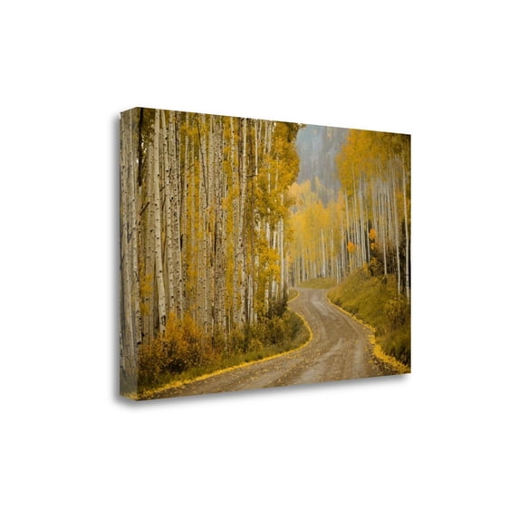 Tangletown Art, 47 x 32 "Telluride, CO " by Amber Berninger, Gallery Wrap Canvas
