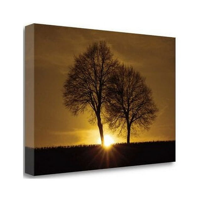 Tangletown Fine Art 'A New Beginning' Photographic Print on Wrapped Canvas