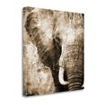 thumbnail image 1 of Tangletown Fine Art African Animals I - Sepia By Eric Yang,  Gallery Wrap Canvas 35 x 35, 1 of 3